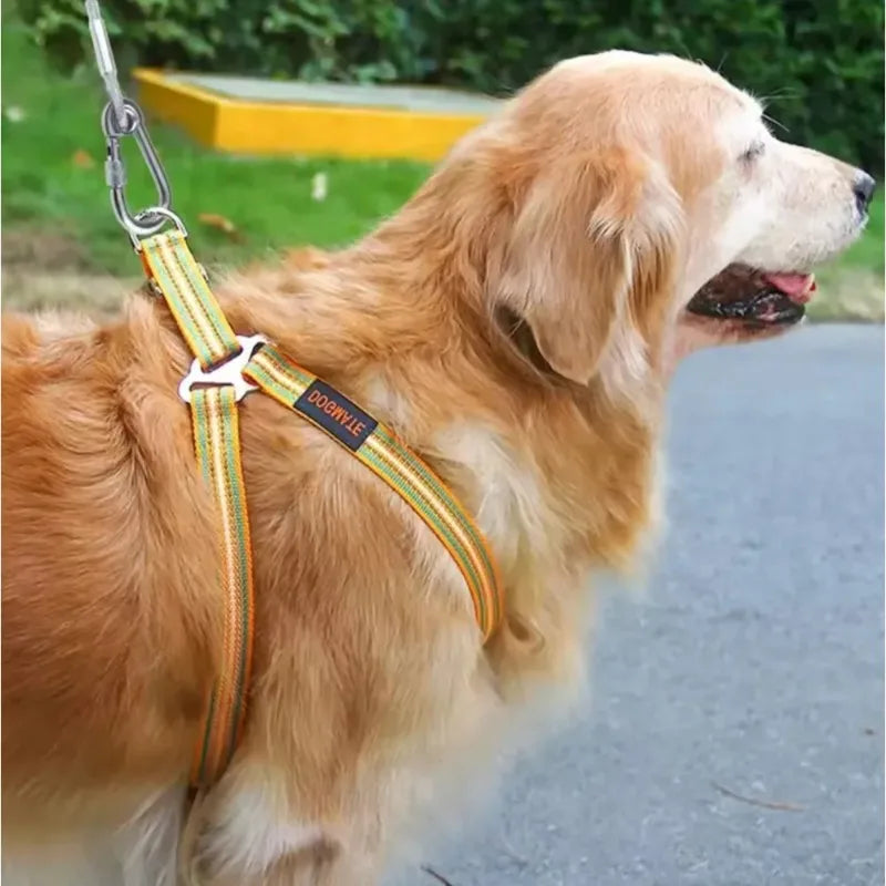 Double-Headed Dog Tie-Out Cable – Rust-Proof Steel, Metal Buckles
