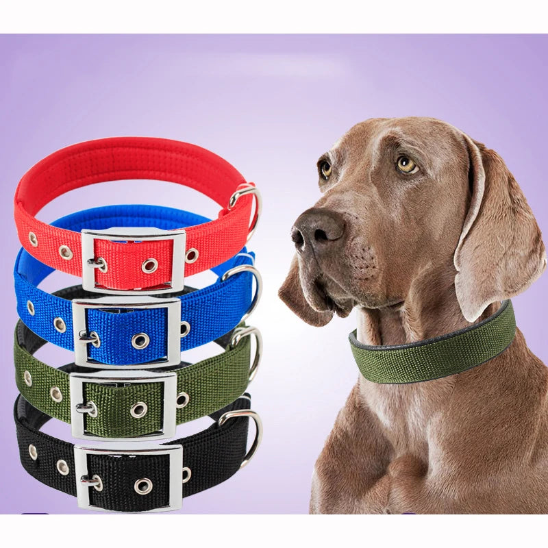 Nylon Dog Collar – Adjustable Solid Collar for All Sizes