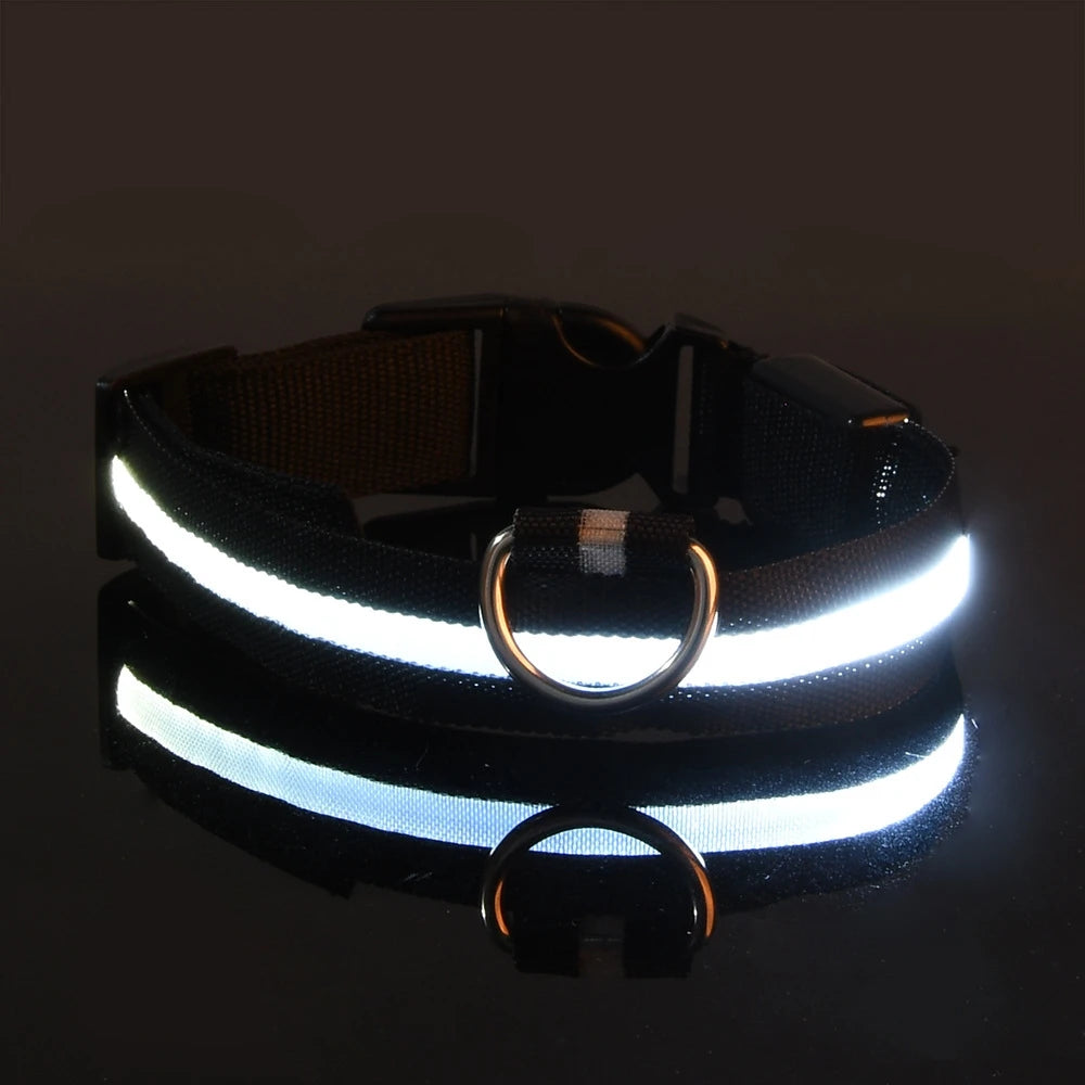 LED Dog Collar – Light-Up Glow Safety Collar for Night Walks