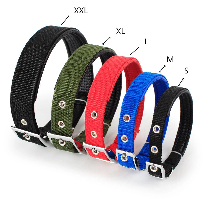 Nylon Dog Collar – Adjustable Solid Collar for All Sizes