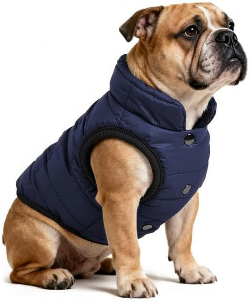 Waterproof Winter Dog Jacket with Fleece