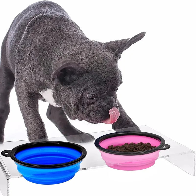 2-in-1 Collapsible Silicone Dog Bowl & Water Bottle – Portable Travel Feeder with Carabiner for Dogs & Cats