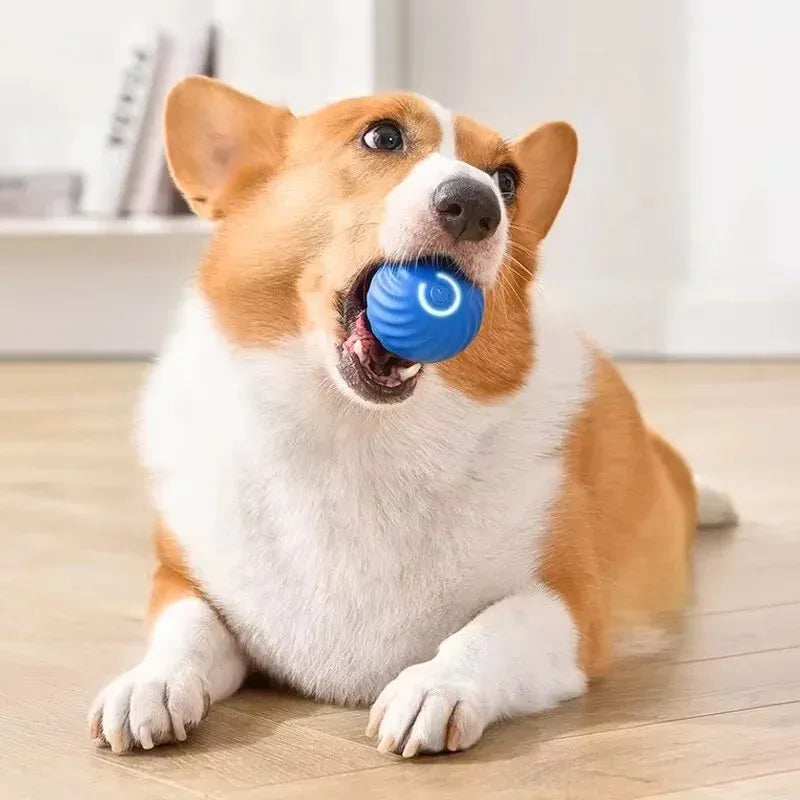 Smart Auto-Rolling Pet Ball – Rechargeable Interactive Chase Toy for Dogs & Cats