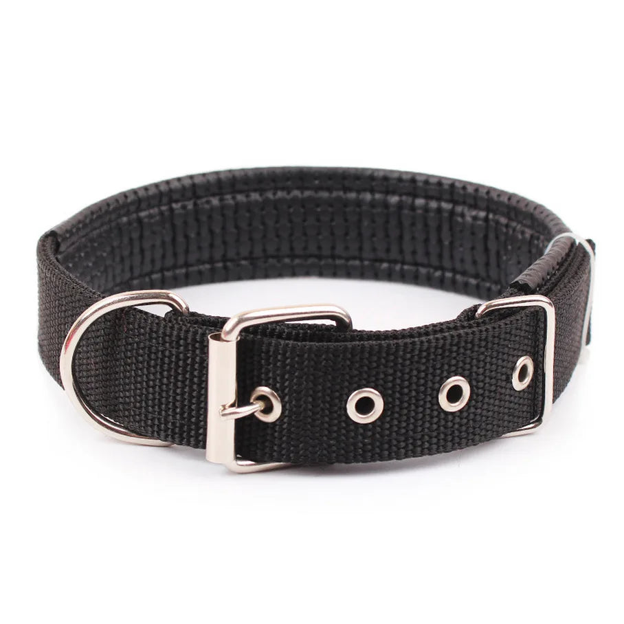 Nylon Dog Collar – Adjustable Solid Collar for All Sizes
