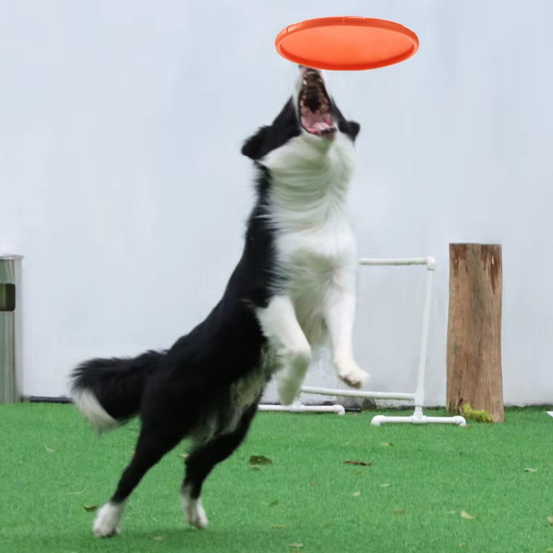 Interactive Silicone Flying Disc for Dogs – Chew-Resistant Fetch & Training Toy