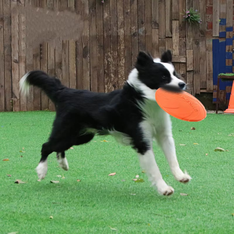Interactive Silicone Flying Disc for Dogs – Chew-Resistant Fetch & Training Toy