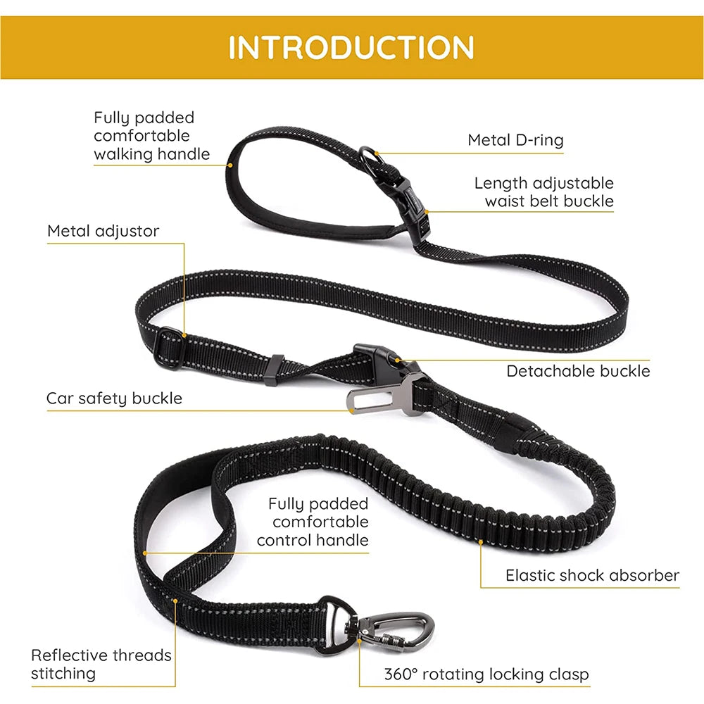 Hands-Free Bungee Dog Leash 6-in-1 – Adjustable Waist Lead