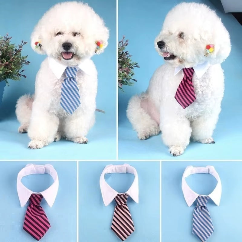 Striped Bow Tie Pet Collar – Adjustable for Cats & Dogs