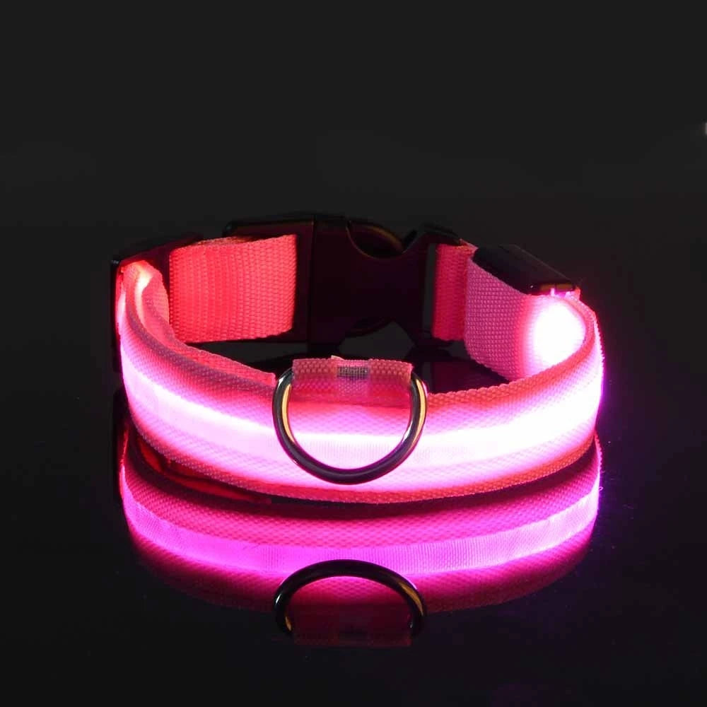 LED Dog Collar – Light-Up Glow Safety Collar for Night Walks