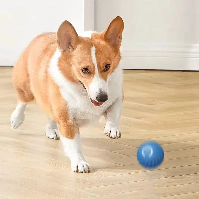 Smart Auto-Rolling Pet Ball – Rechargeable Interactive Chase Toy for Dogs & Cats