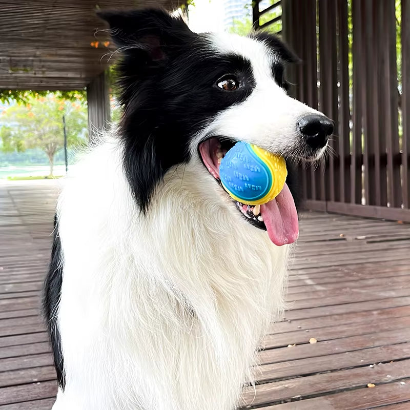Interactive Squeaky Dog Ball – Soft TPR Chew Toy for Teeth Cleaning