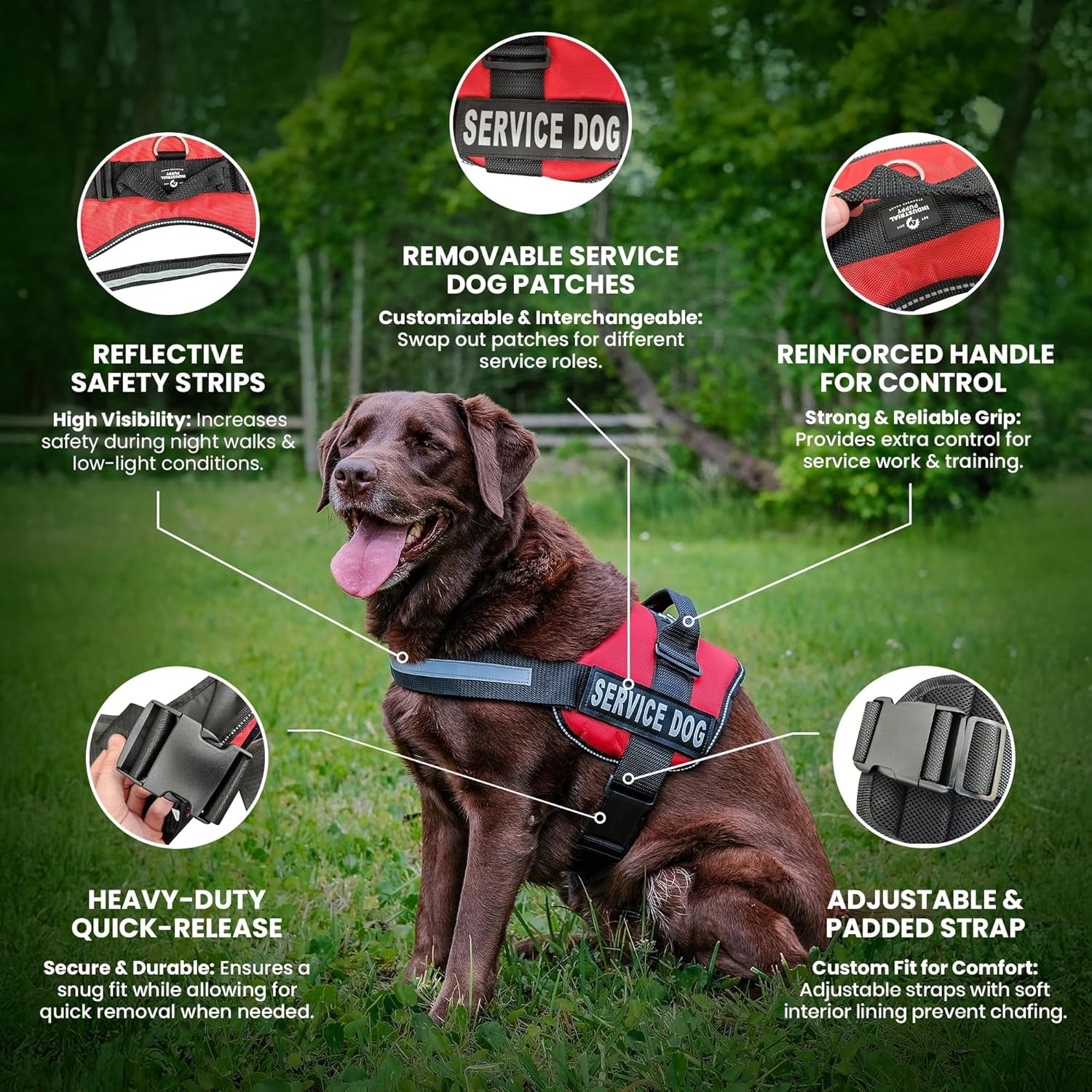 Premium Service Dog Vest with Reflective Patches and Matching Leash - Comfortable, Durable Harness for All Breeds