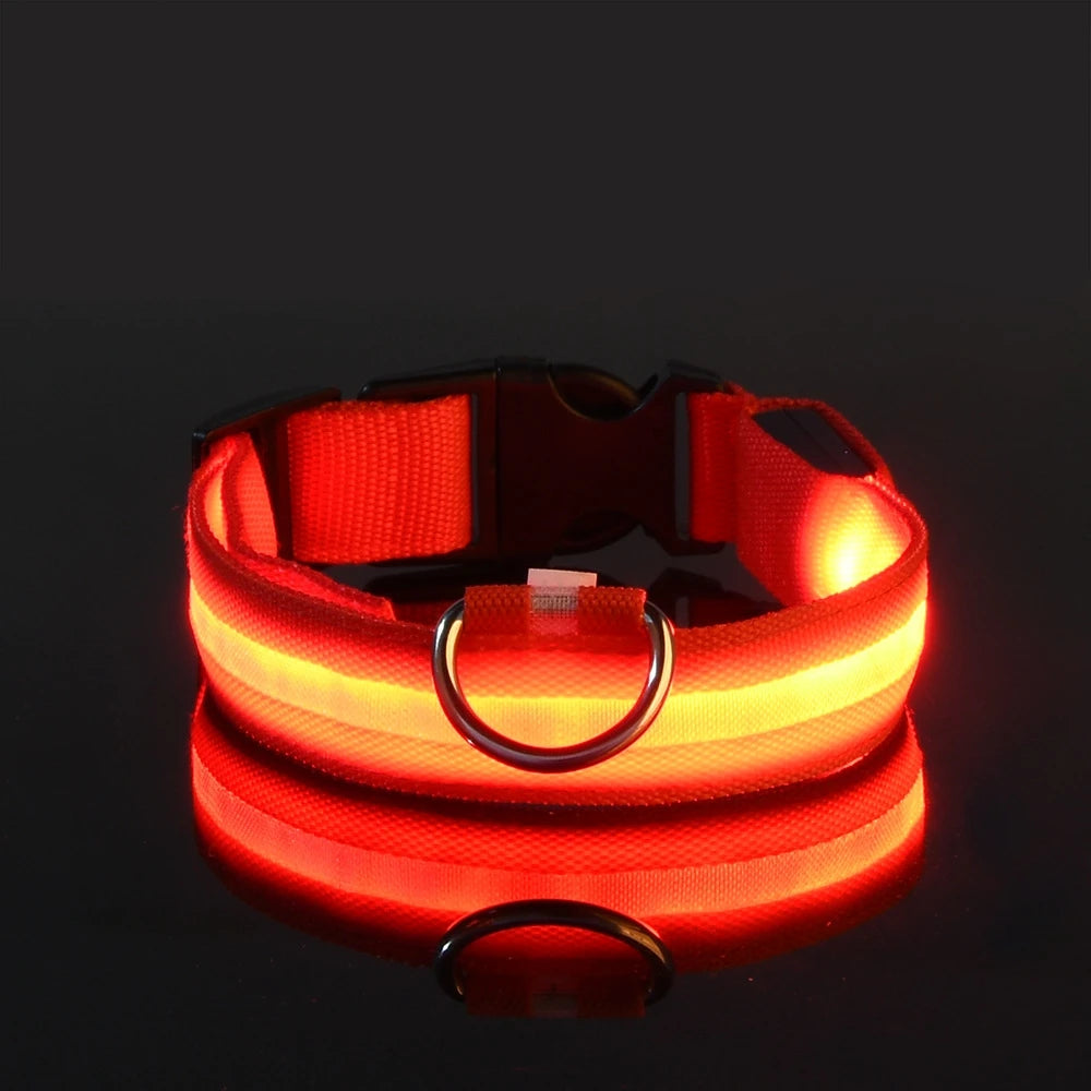LED Dog Collar – Light-Up Glow Safety Collar for Night Walks