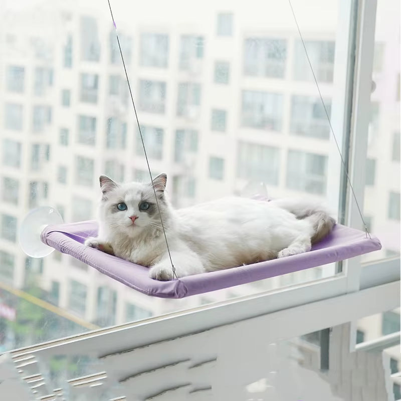 Window Cat Hammock Bed – Sunny Perch & Climbing Frame, Holds Up to 20kg