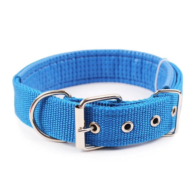 Nylon Dog Collar – Adjustable Solid Collar for All Sizes