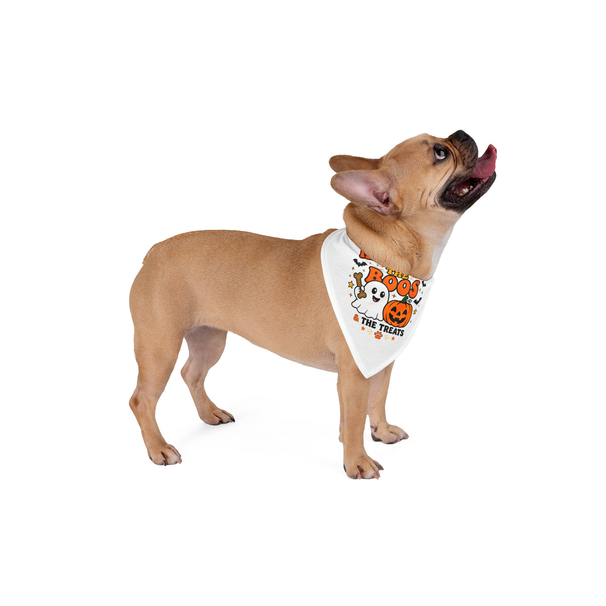 Here For The Boos & Treats Halloween Pet Bandana