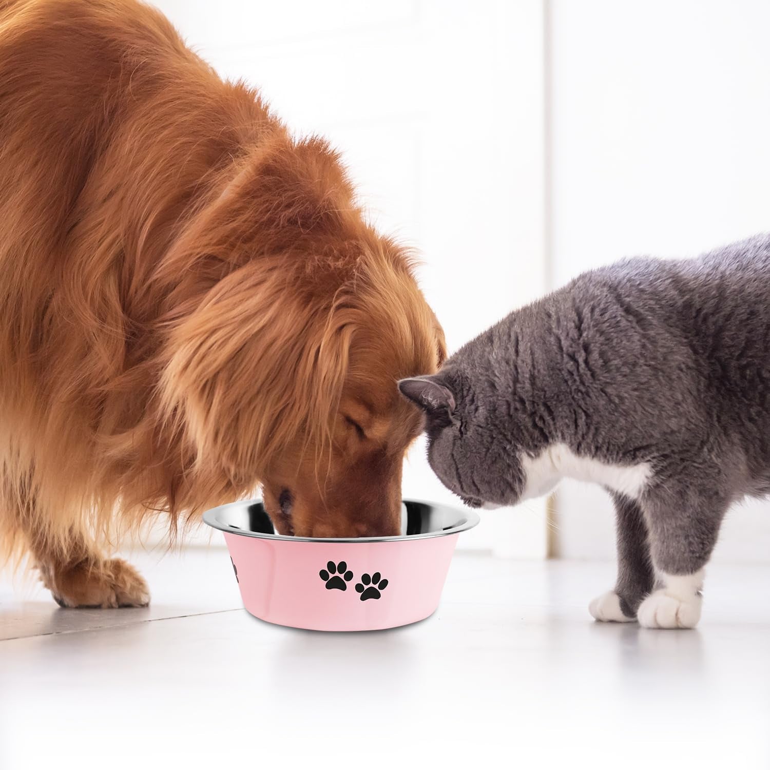 Stainless Steel Dog Bowl with Non-Slip Rubber Base – Durable & Spill-Resistant