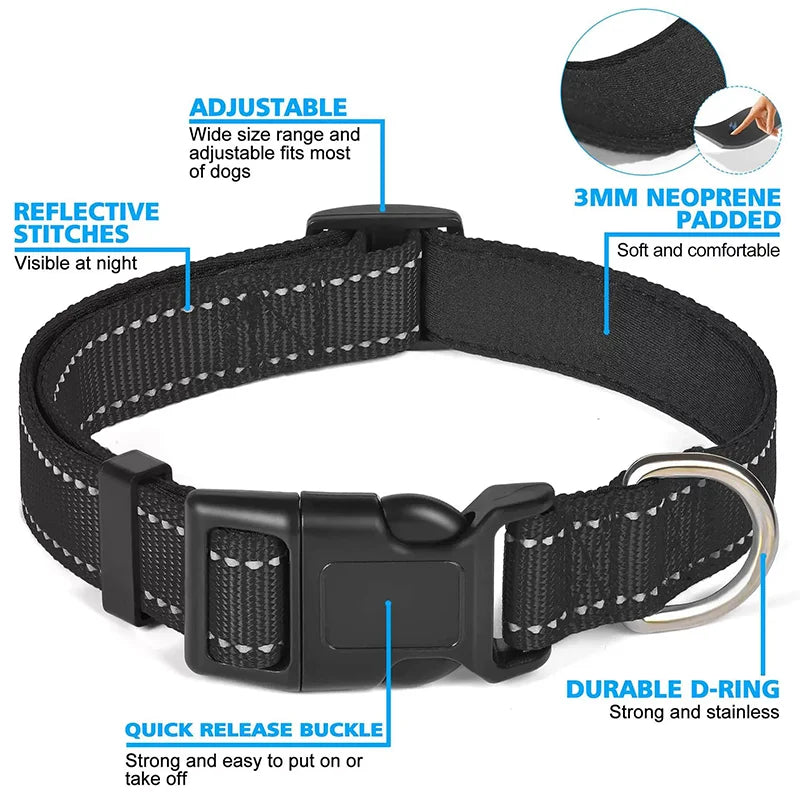 Reflective Dog & Cat Collar – Adjustable No-Choke Nylon