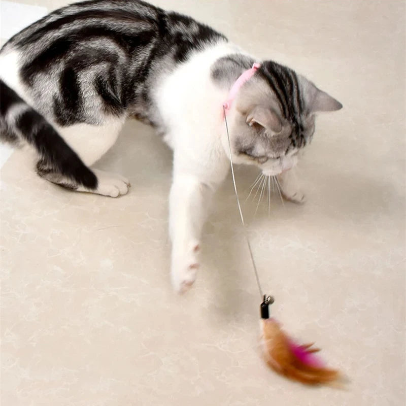 Feather Teaser Wand with Bell – Interactive Cat Toy
