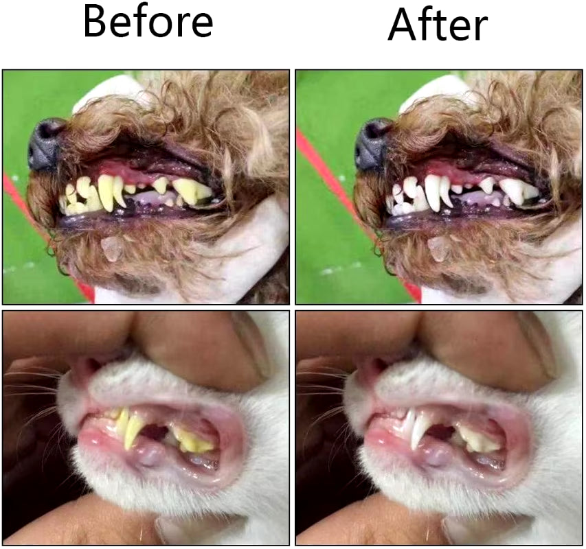 Silicone Finger Toothbrush for Dogs & Cats – 3-Pack