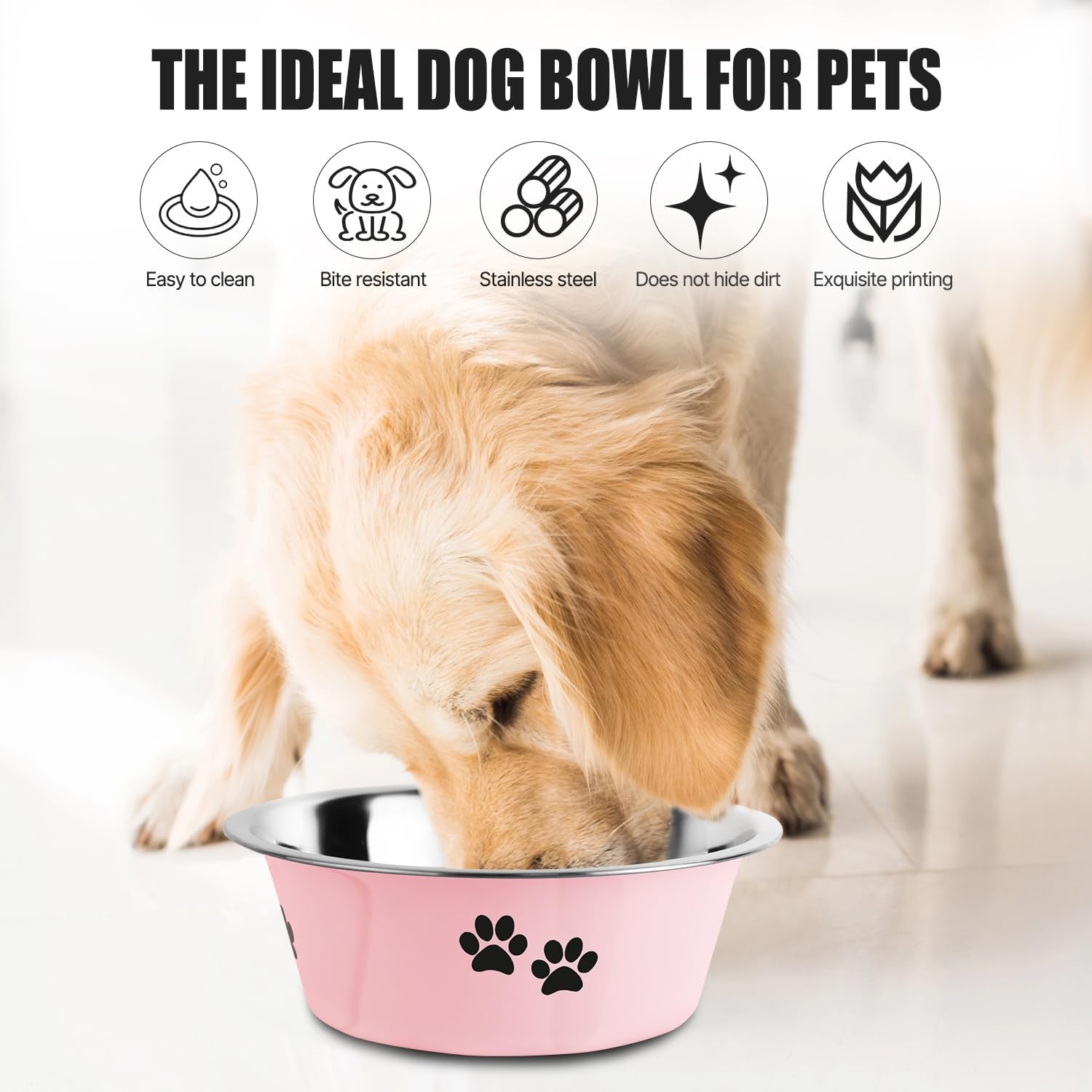 Stainless Steel Dog Bowl with Non-Slip Rubber Base – Durable & Spill-Resistant