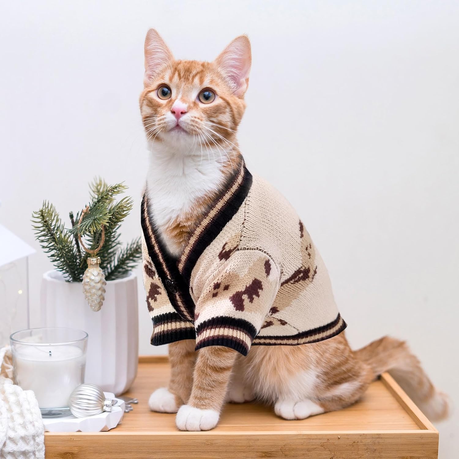 Bear Knit Dog Cardigan Sweater – Winter Pet Outfit