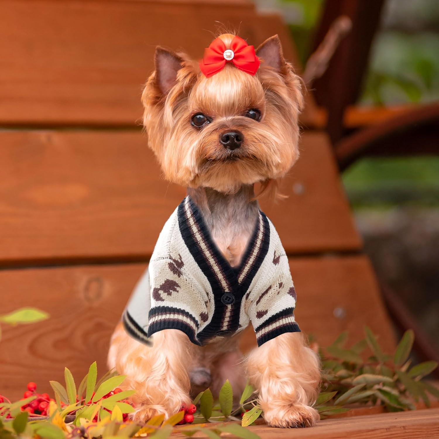 Bear Knit Dog Cardigan Sweater – Winter Pet Outfit