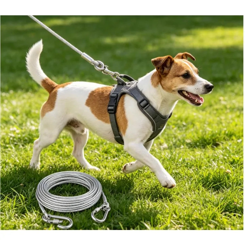Double-Headed Dog Tie-Out Cable – Rust-Proof Steel, Metal Buckles