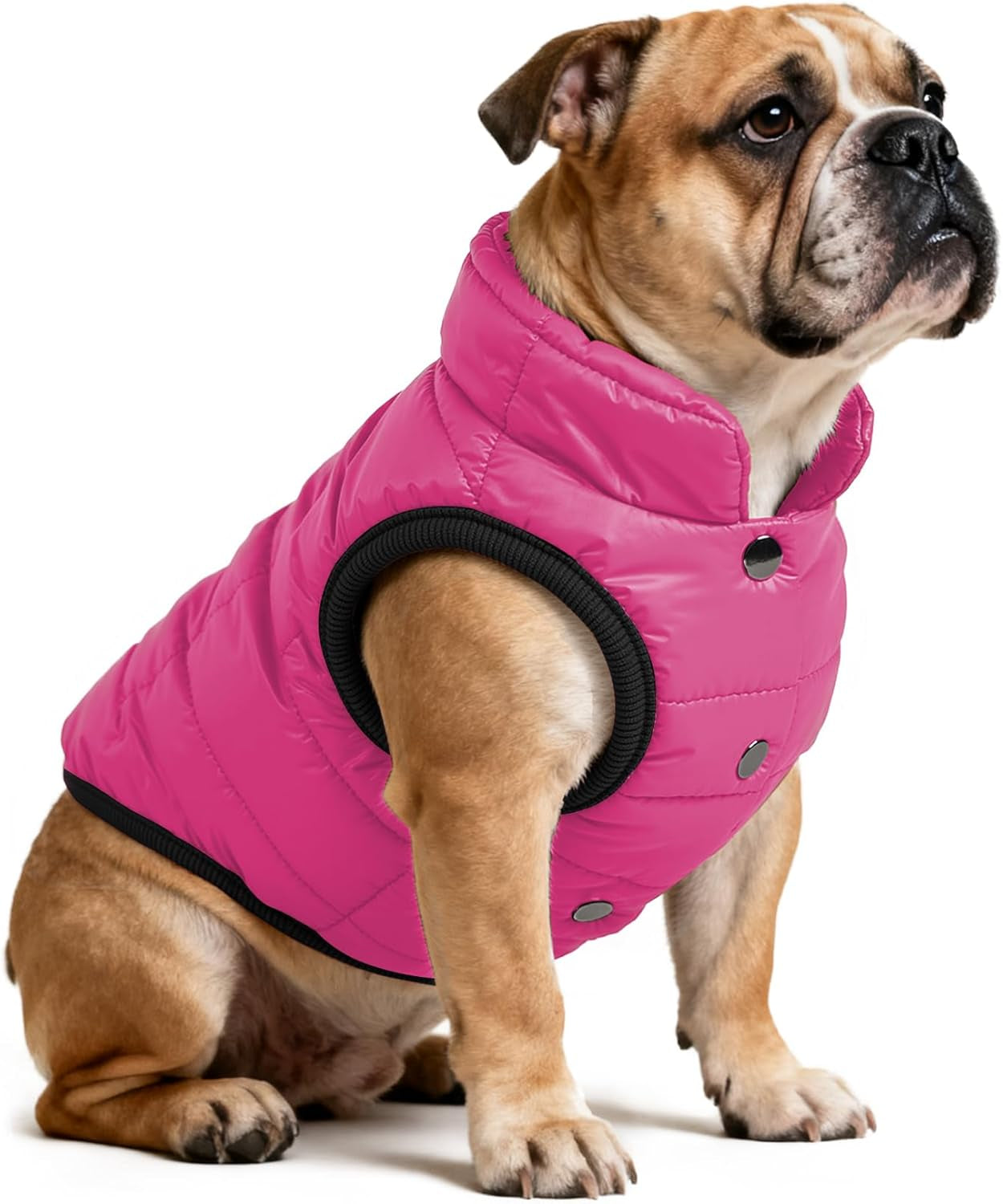 Waterproof Winter Dog Jacket with Fleece