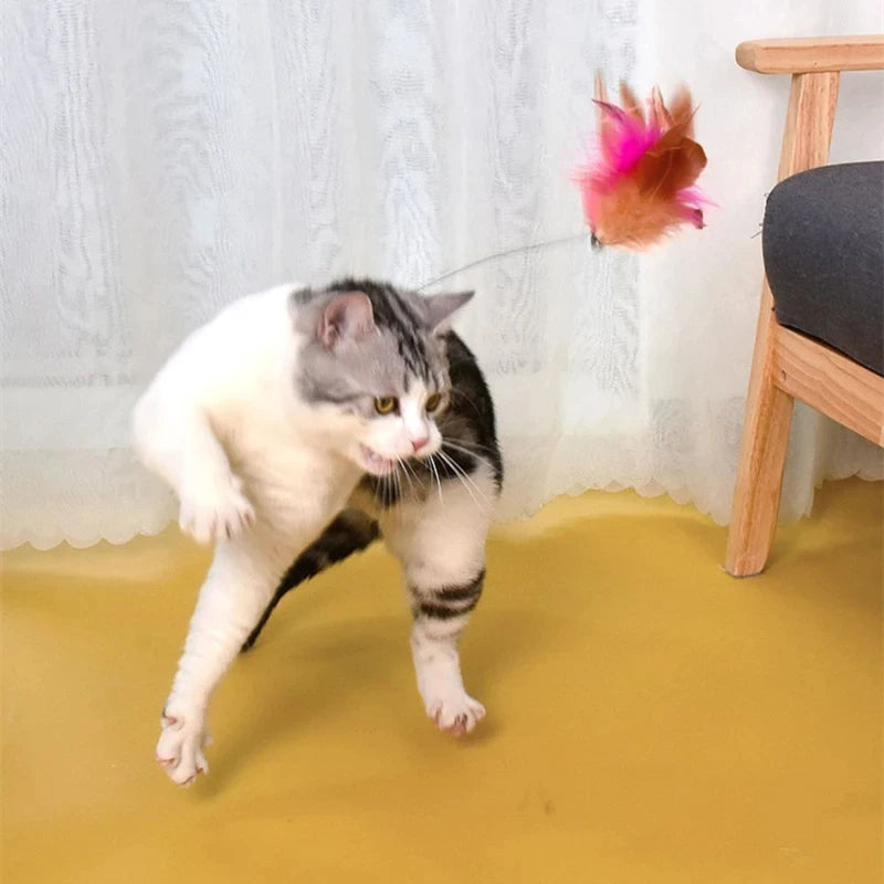 Feather Teaser Wand with Bell – Interactive Cat Toy