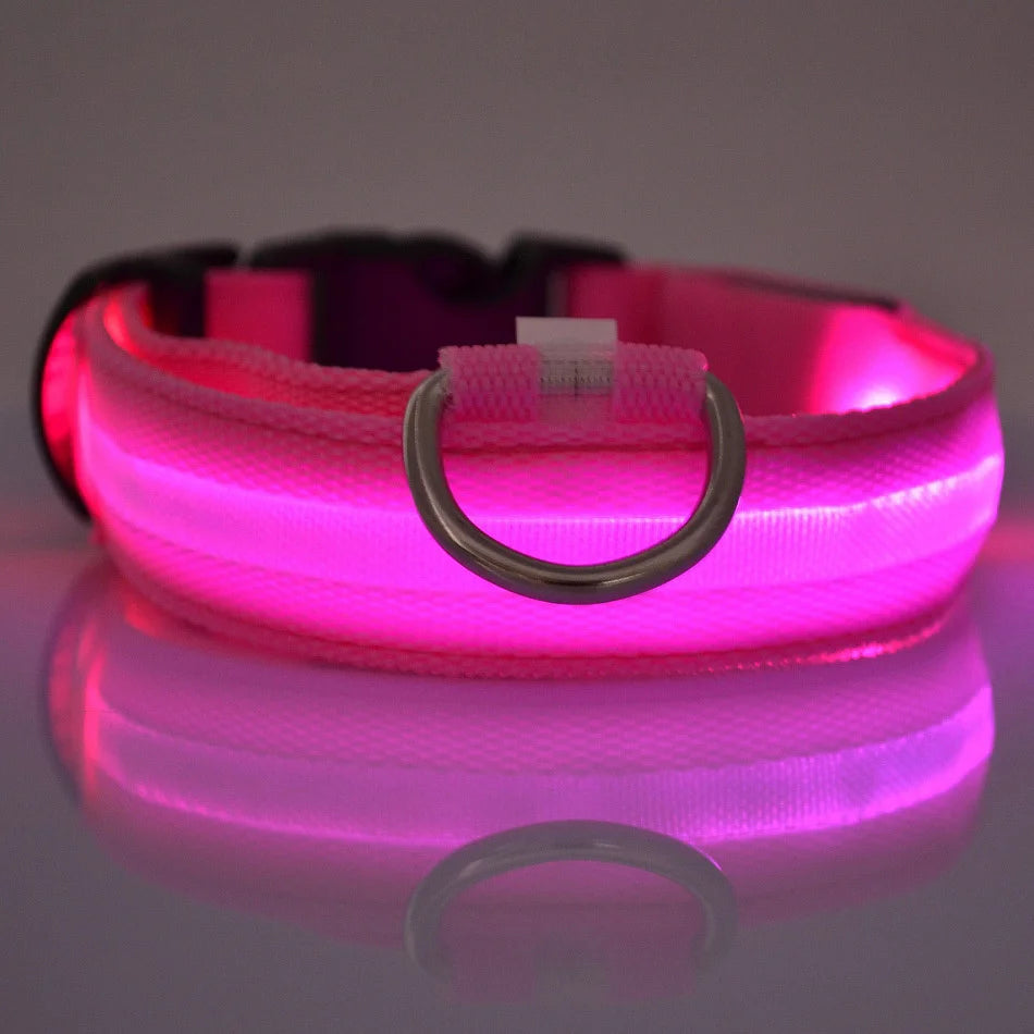 LED Dog Collar – Light-Up Glow Safety Collar for Night Walks