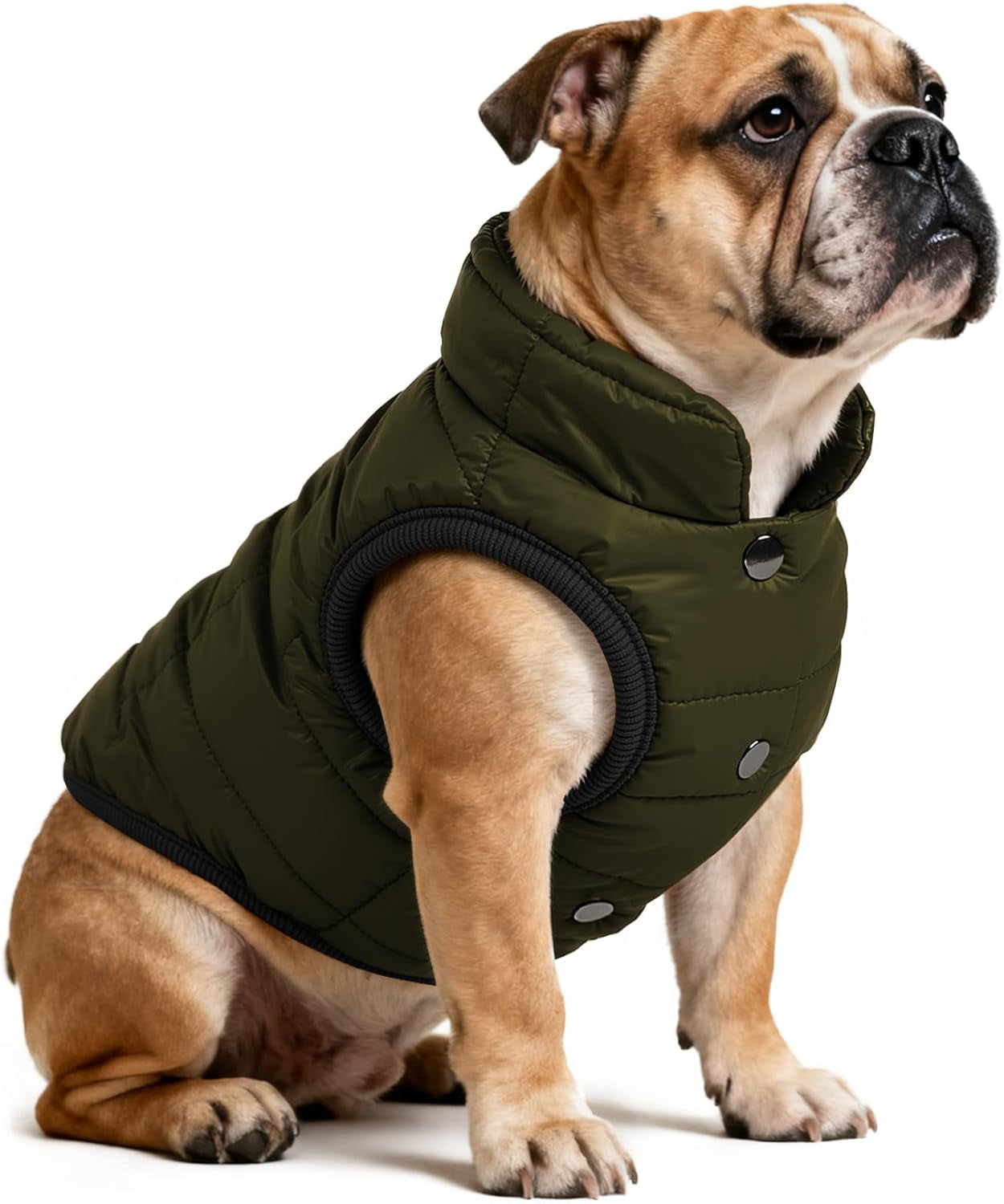 Waterproof Winter Dog Jacket with Fleece
