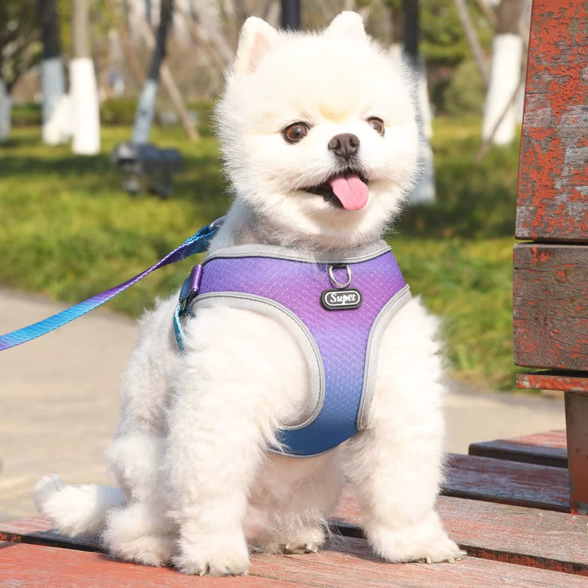 Step-In Dog Harness – Adjustable, Reflective, Breathable Vest