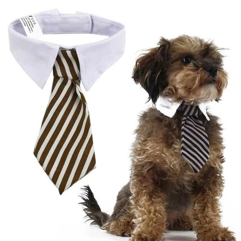 Striped Bow Tie Pet Collar – Adjustable for Cats & Dogs