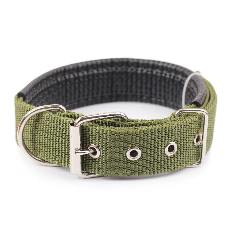 Nylon Dog Collar – Adjustable Solid Collar for All Sizes