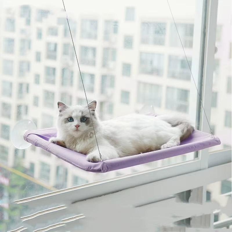 Window Cat Hammock Bed – Sunny Perch & Climbing Frame, Holds Up to 20kg