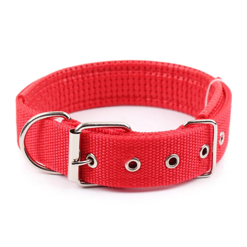 Nylon Dog Collar – Adjustable Solid Collar for All Sizes