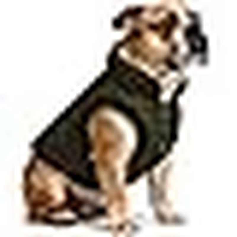 Waterproof Winter Dog Jacket with Fleece