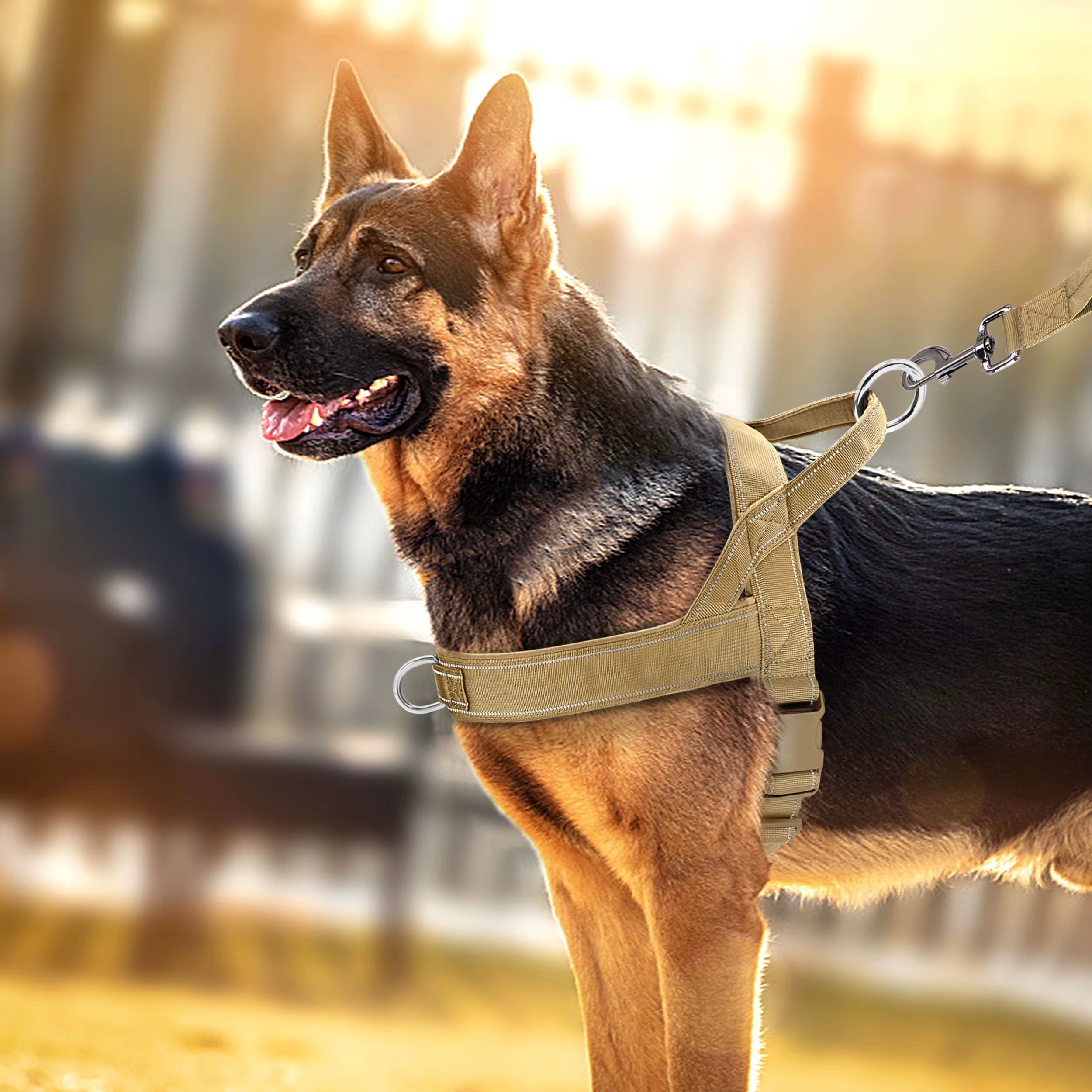 No-Pull Dog Harness with Handle – Reflective, Adjustable