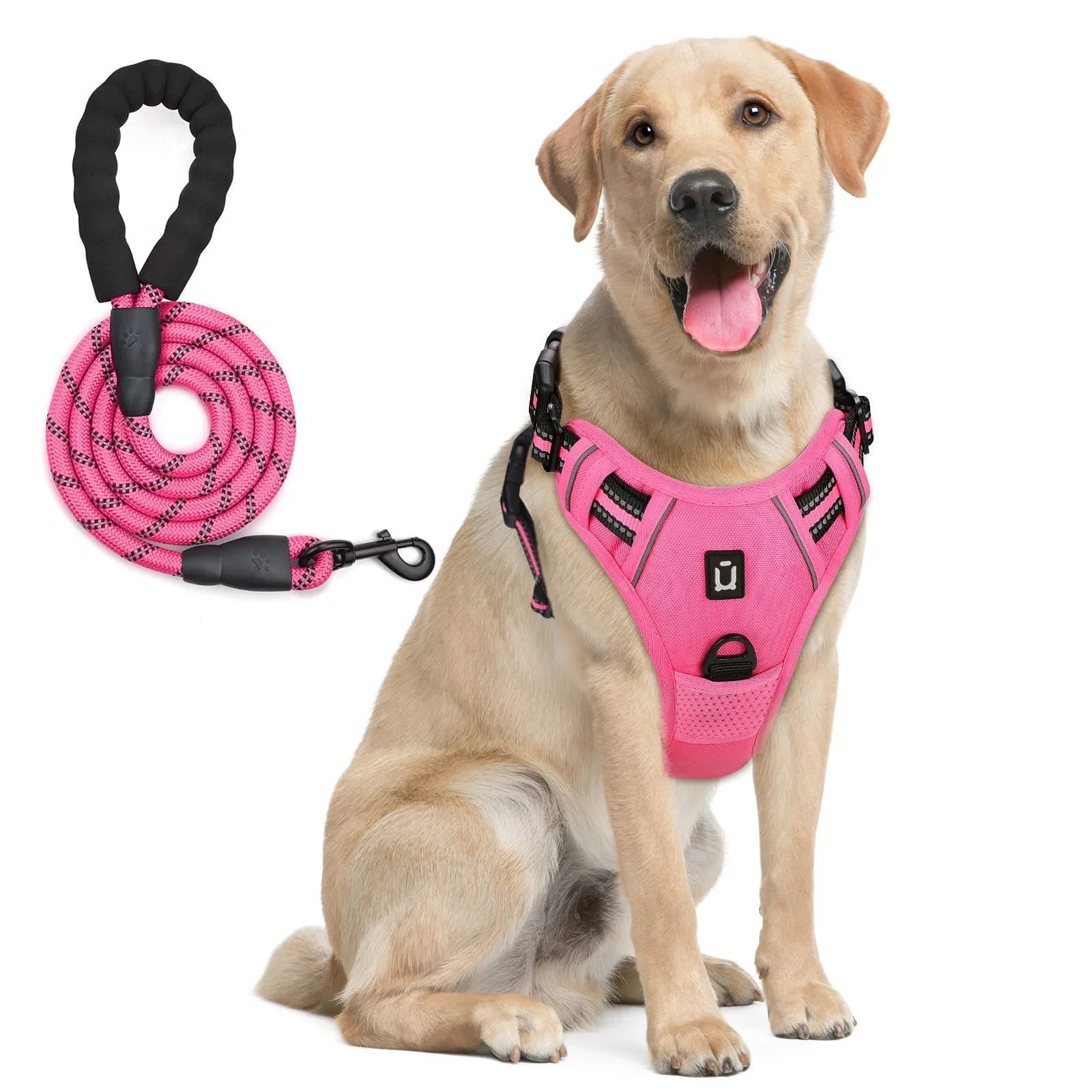 No-Pull Dog Harness & Leash Combo – Reflective, Escape-Proof Vest
