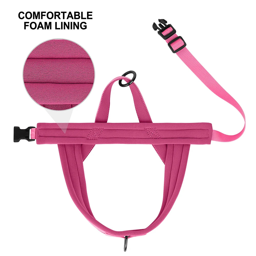 Padded No-Pull Dog Harness Vest – Adjustable, Soft Nylon