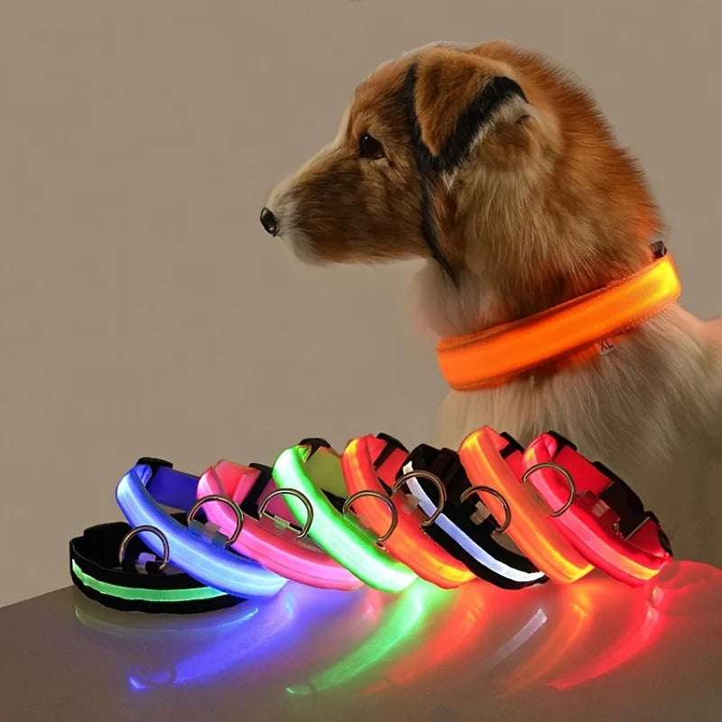 LED Dog Collar – Light-Up Glow Safety Collar for Night Walks