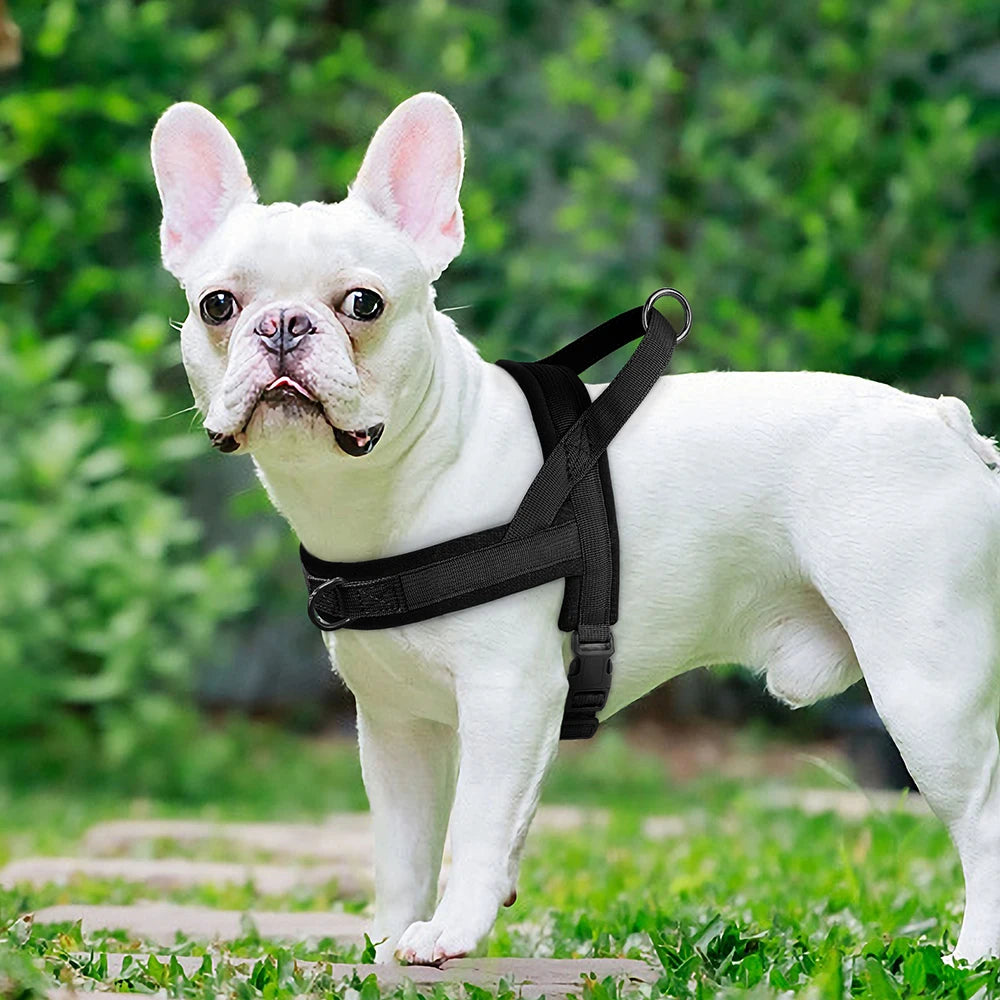 Padded No-Pull Dog Harness Vest – Adjustable, Soft Nylon