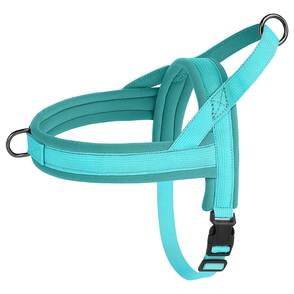 Padded No-Pull Dog Harness Vest – Adjustable, Soft Nylon