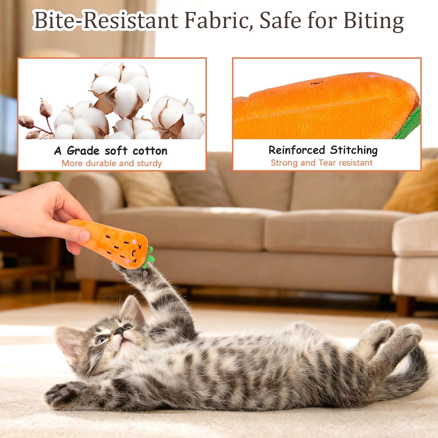 Catnip Cat Toys, Safe Teeth Cleaning Cat Nip Toys for Indoor Kitten Kitty,Interactive Plush Cat Chew Kicker Toys, 5 Pack, Vegetable Shape