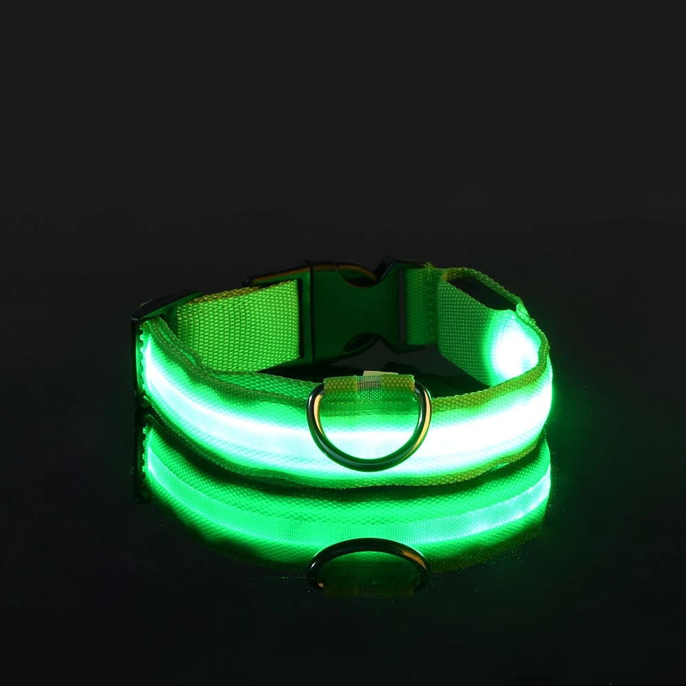 LED Dog Collar – Light-Up Glow Safety Collar for Night Walks