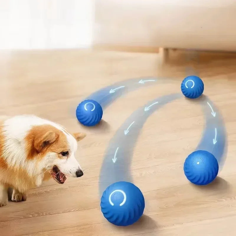 Smart Auto-Rolling Pet Ball – Rechargeable Interactive Chase Toy for Dogs & Cats