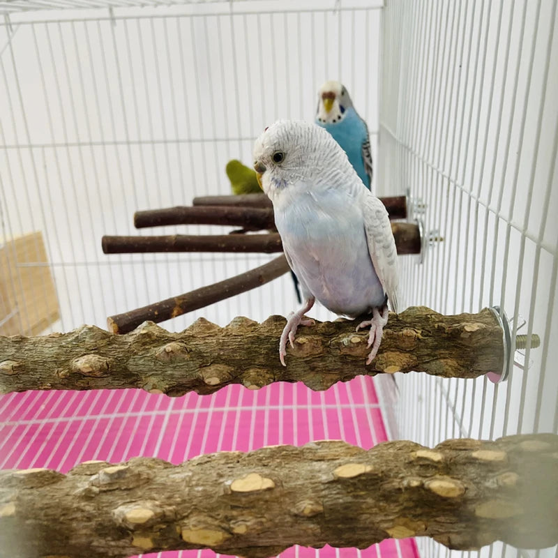 10/15/20Cm Birds Accessories Equipment for Parrots Supplies Pet Raw Wood Tree Branch Stand Rack Perches Chew Bite Toys Stick