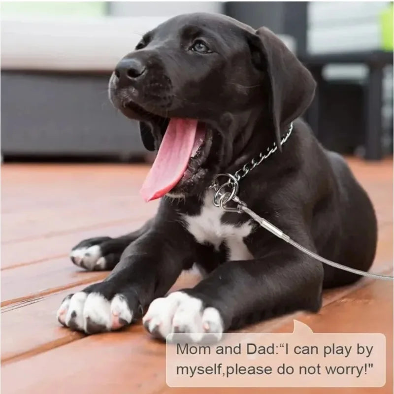 Double-Headed Dog Tie-Out Cable – Rust-Proof Steel, Metal Buckles