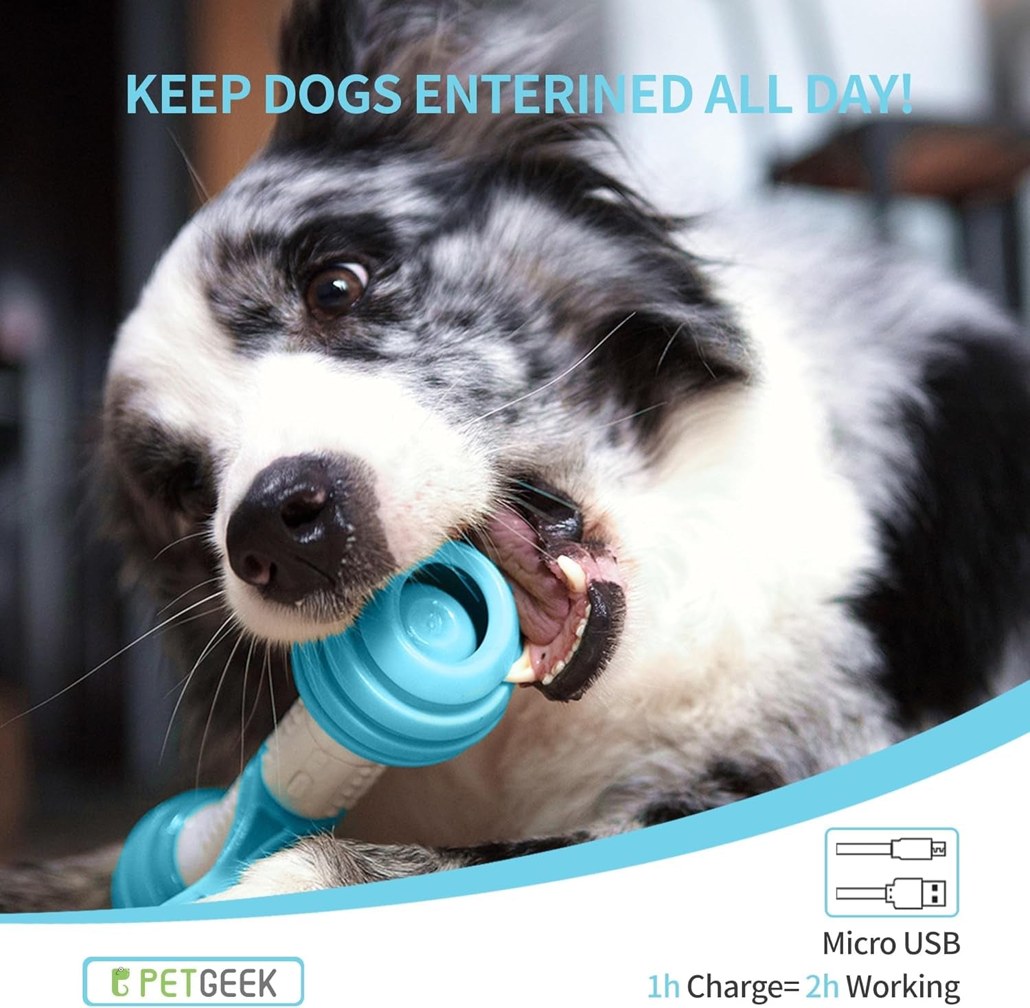 Exciting Interactive Dog Toy - Automatic Chew Bone for Endless Fun, Safe & Durable with Rechargeable USB (Blue)